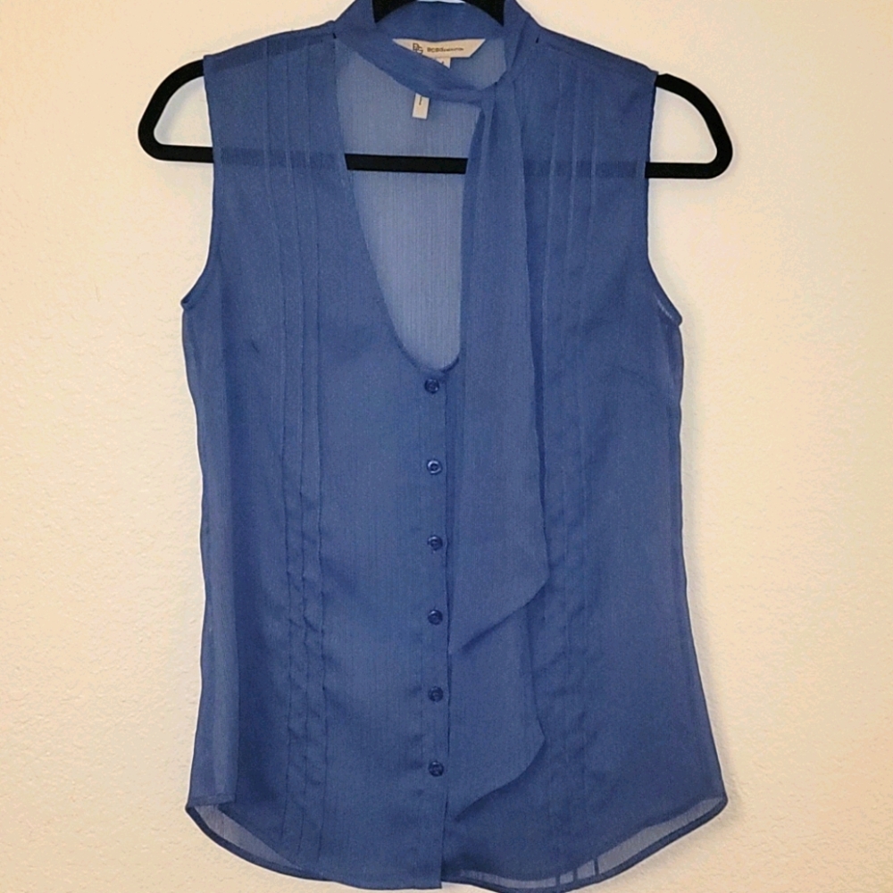Blue Sleeveless Sheer Blouse